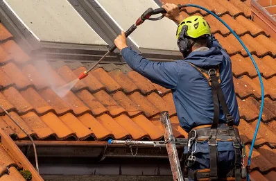 Démoussage et hydrofuge de toiture à Ambierle